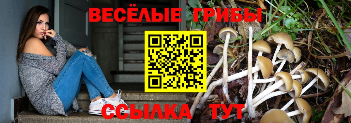 Галлюциногенные грибы Cubensis  Вход с VPN  что такое наркотик  Гусев 