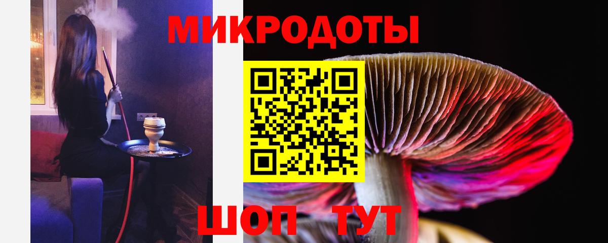 Псилоцибиновые грибы мицелий Гусев